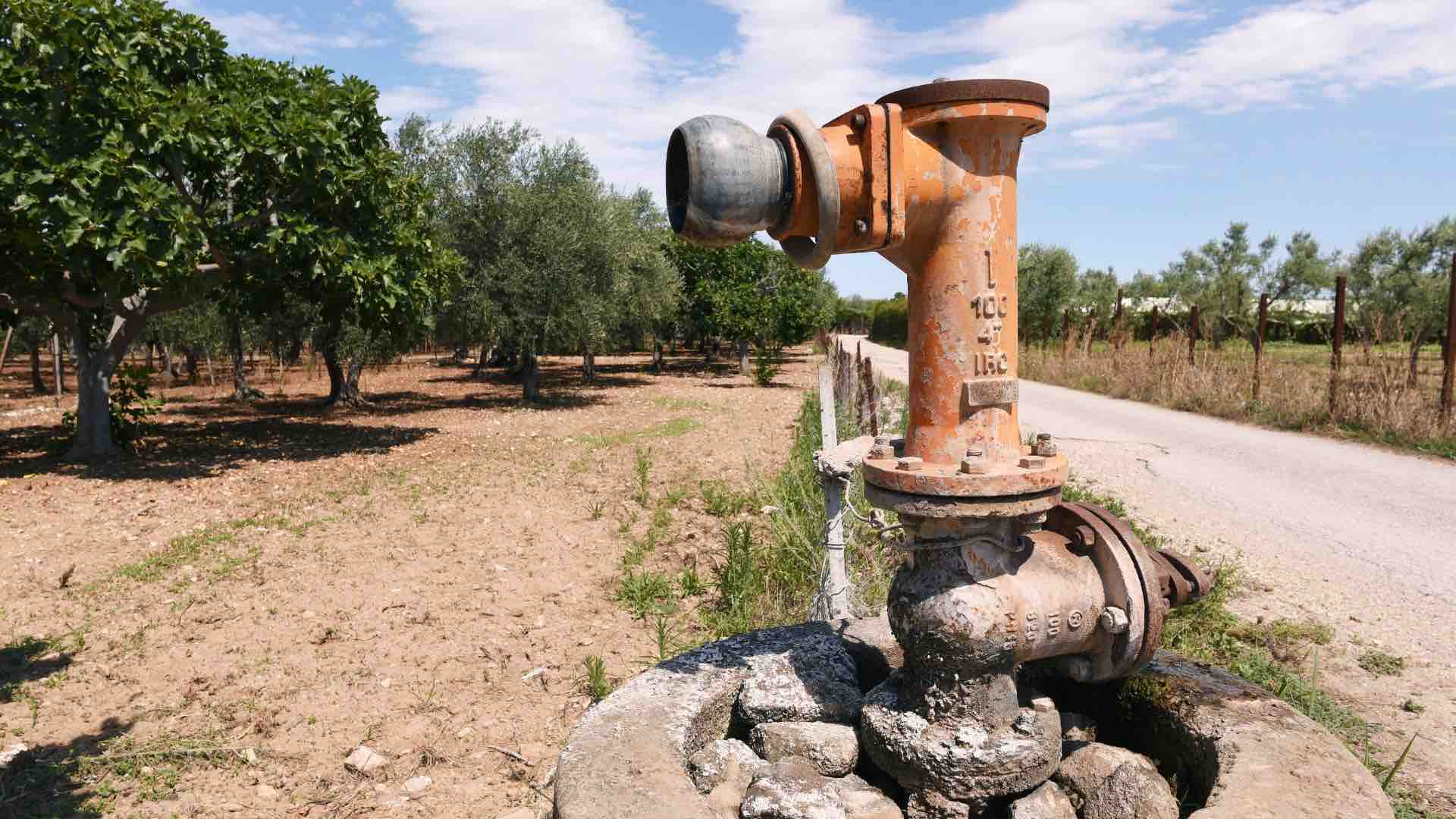 il difforme siccità 1