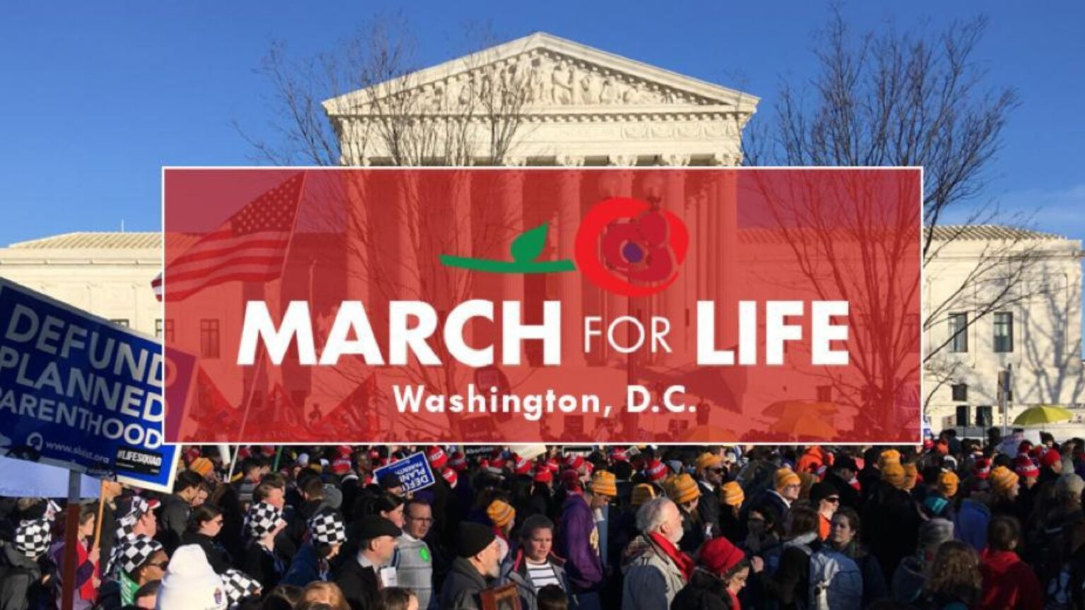 March for Life del movimento contro l'aborto