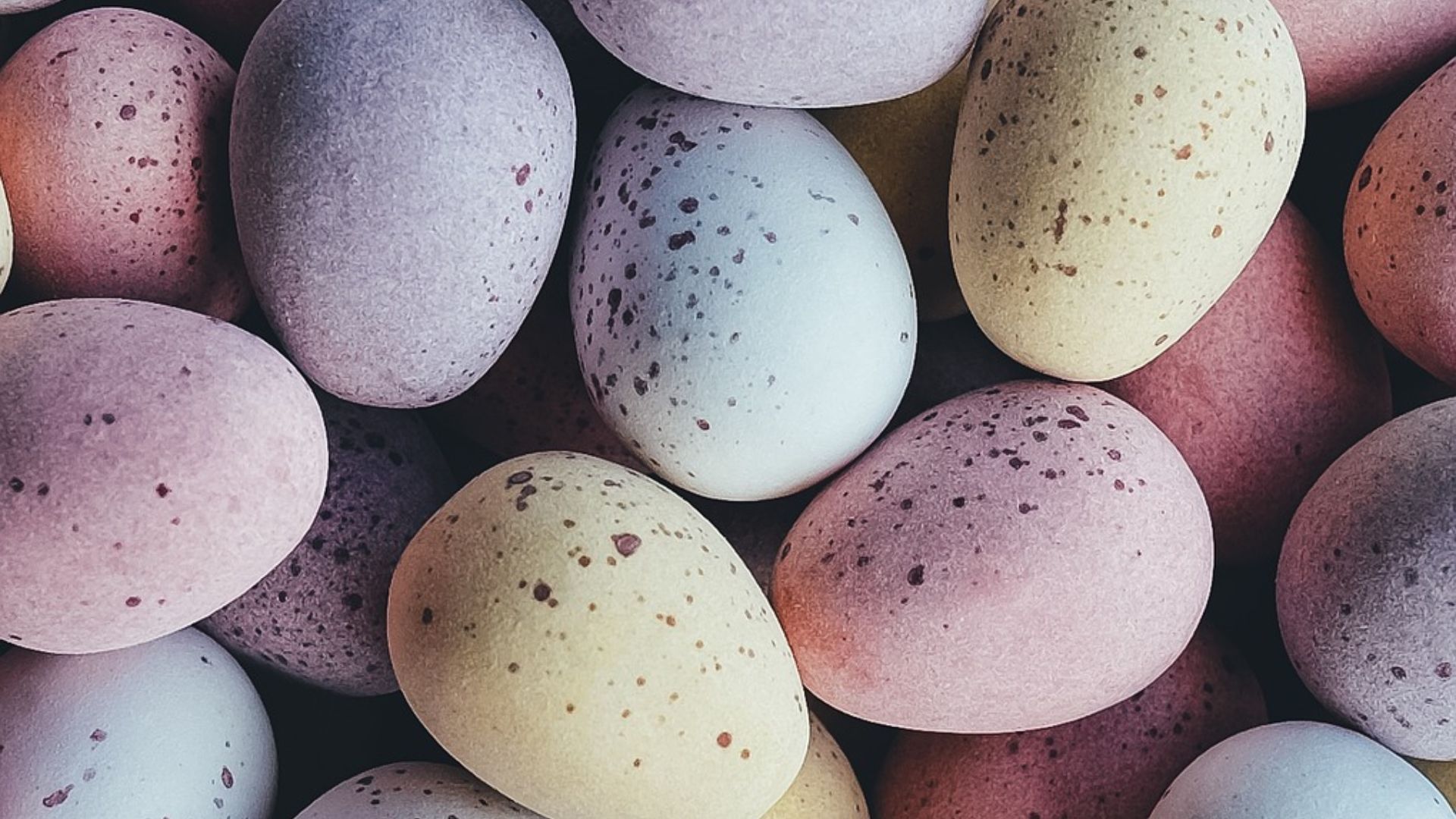 Pasqua