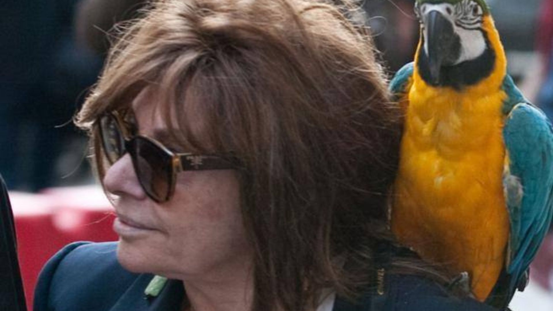 Patrizia Reggiani, eredità Gucci