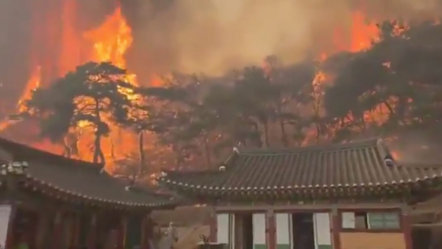 Incendi boschivi in Corea del Sud