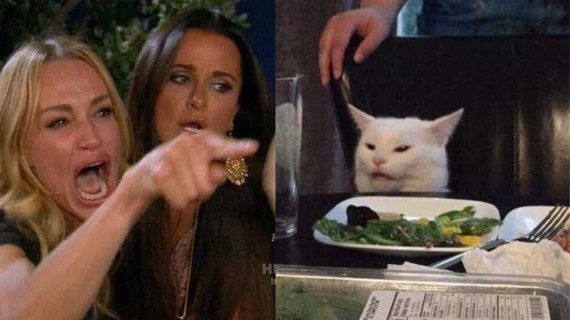 Meme, nuova satira o fine della profondità? Meme, nuova satira o fine della profondità?