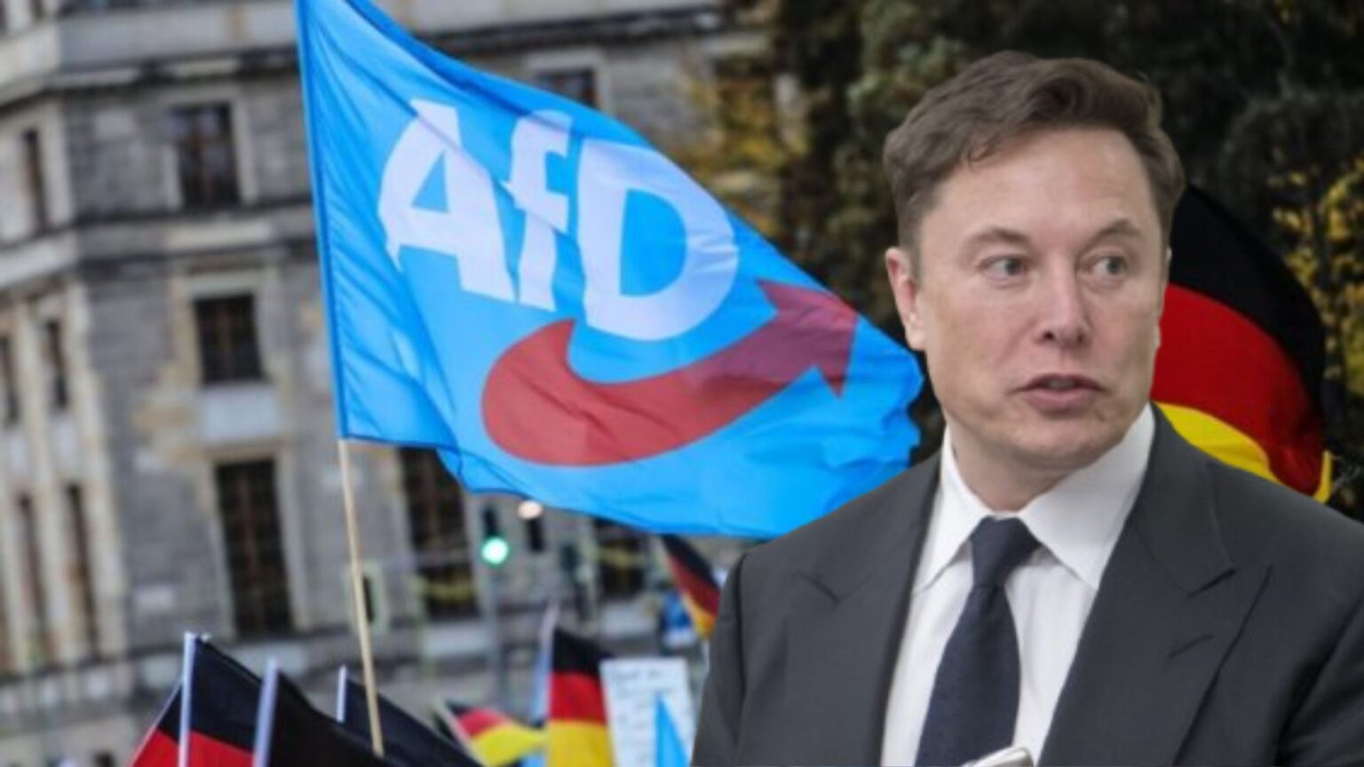 Afd, Elon Musk