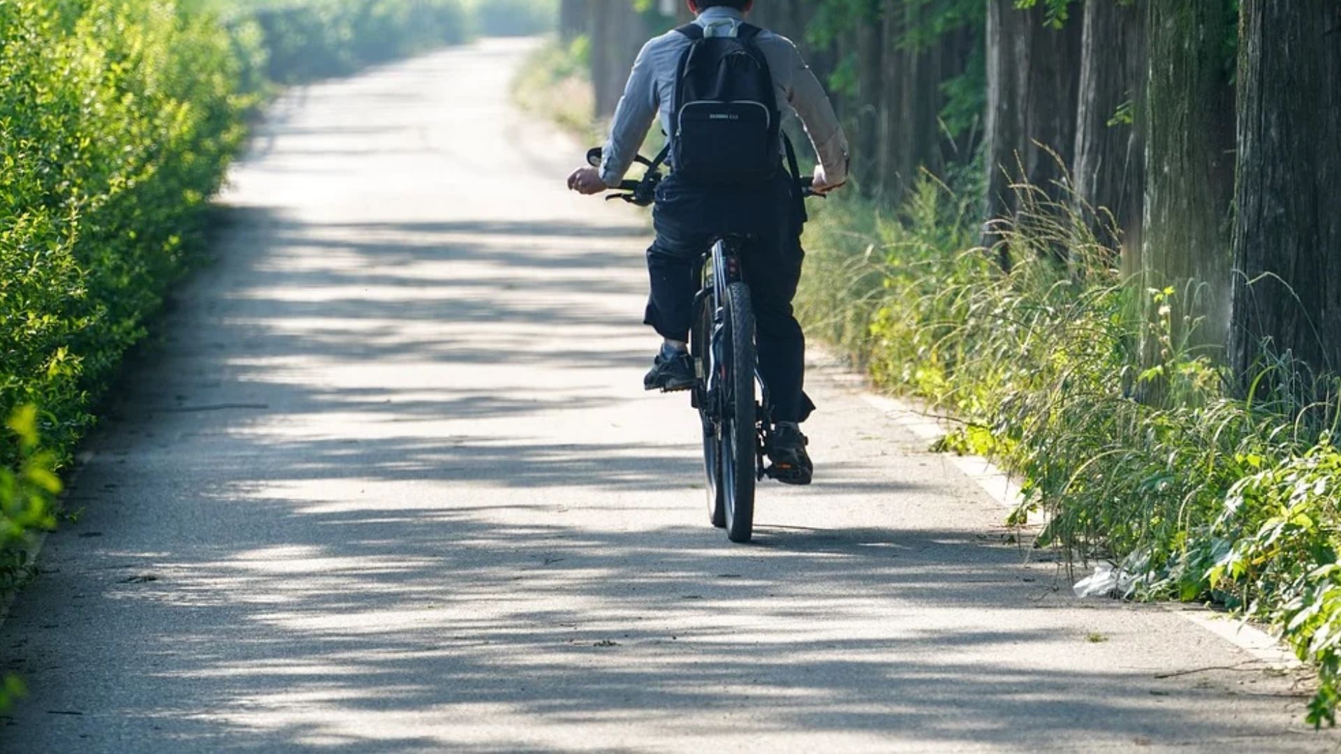Barletta bambino da Ildifforme.it barletta bambino di 4 anni morto dopo caduta dalla bici guidata dal papà