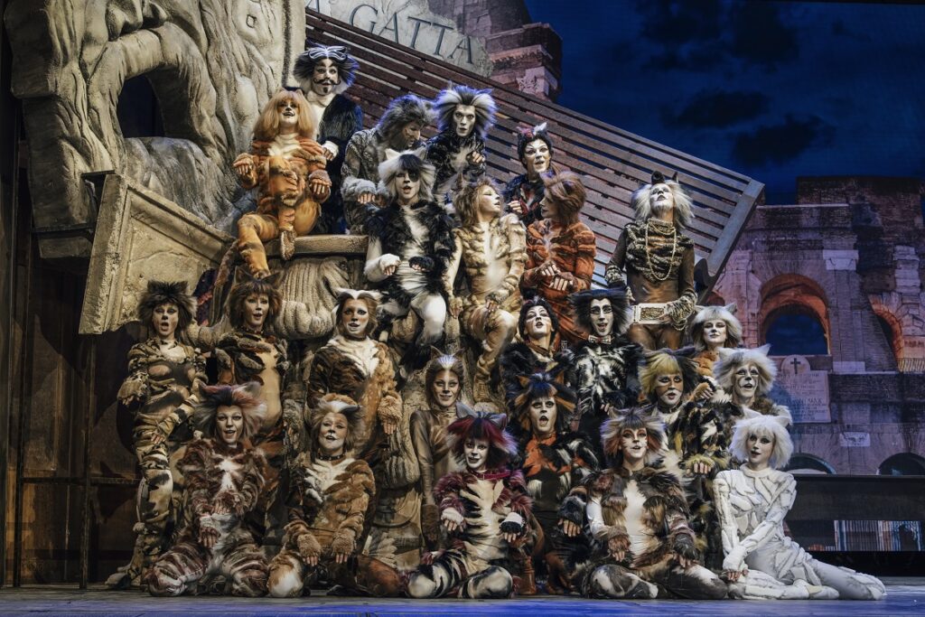 Cats Gianluca Sarago 1