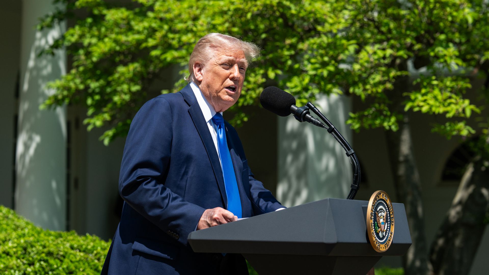 Trump alla Nbc “Pace in Ucraina? Forse non è possibile, c’è troppo odio” Trump alla Nbc “Pace in Ucraina? Forse non è possibile, c’è troppo odio”