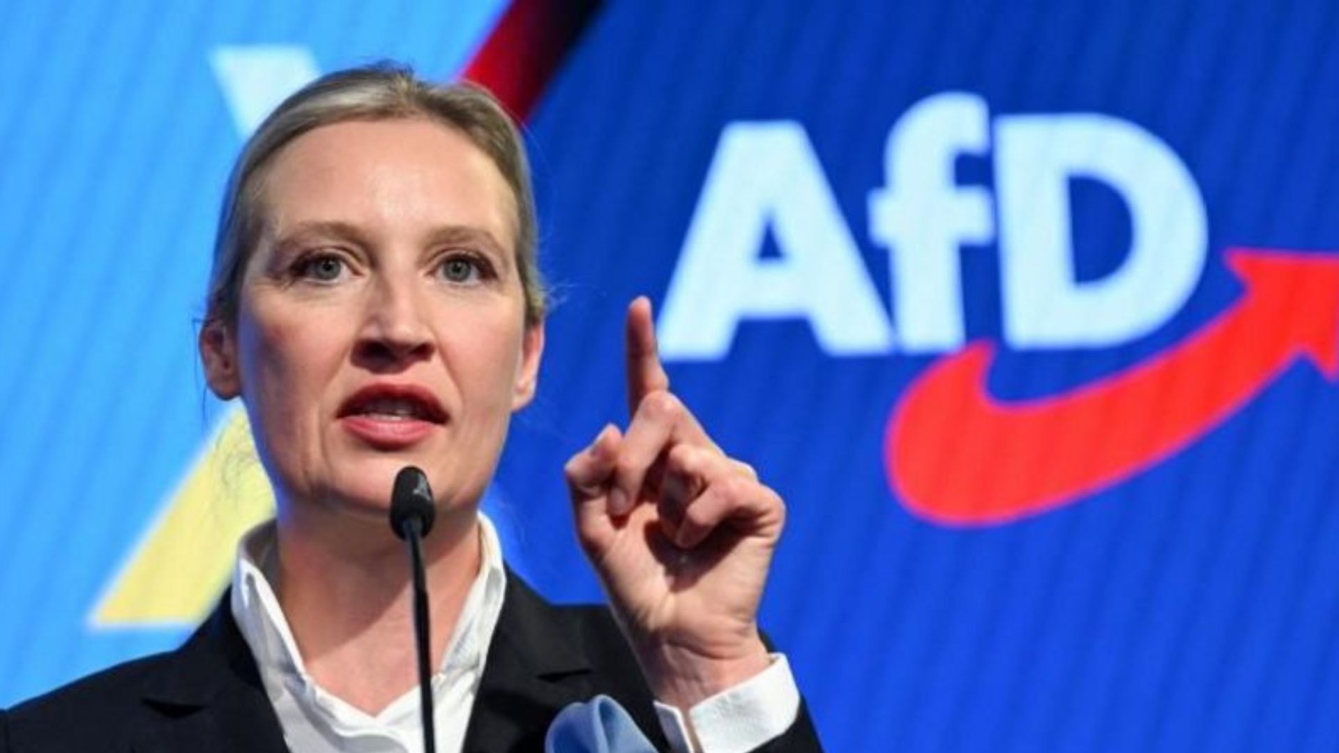 AfD, Alice Weidel