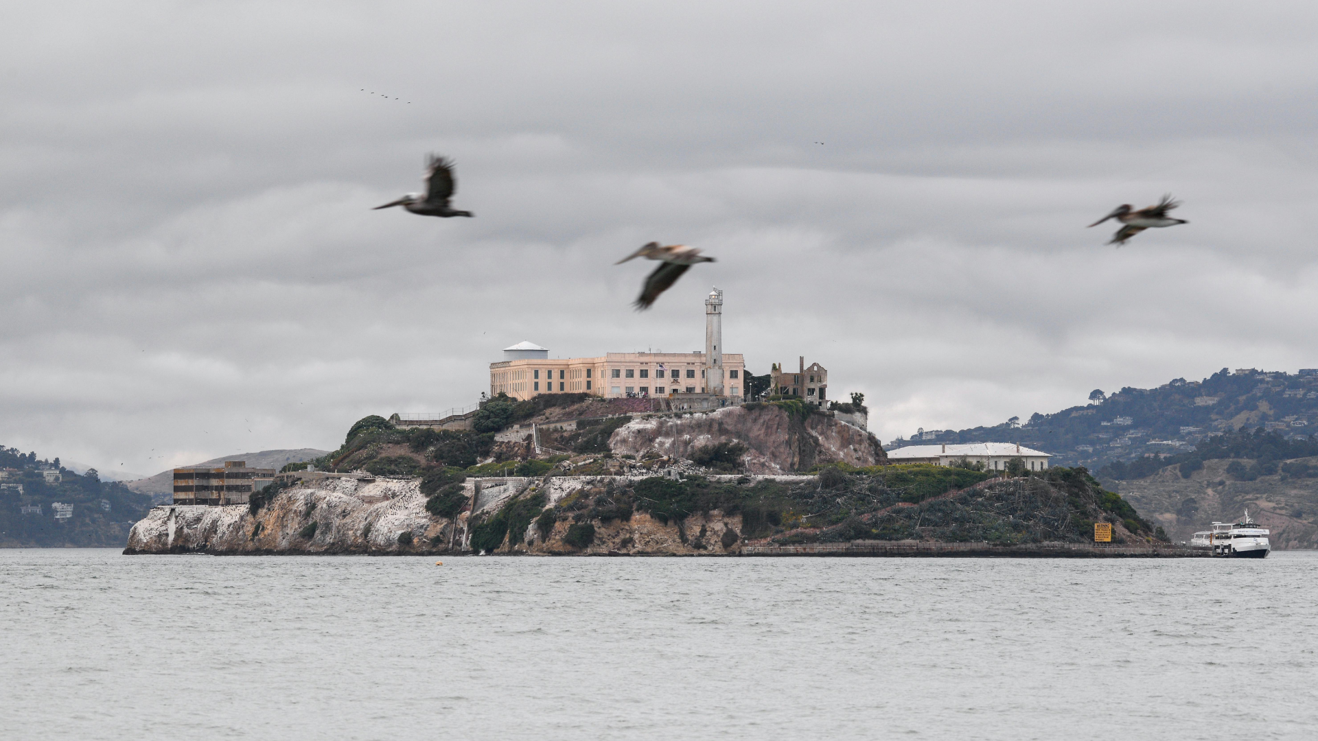 Trump riaprirà da Ildifforme.it trump riaprirà alcatraz per la feccia della società