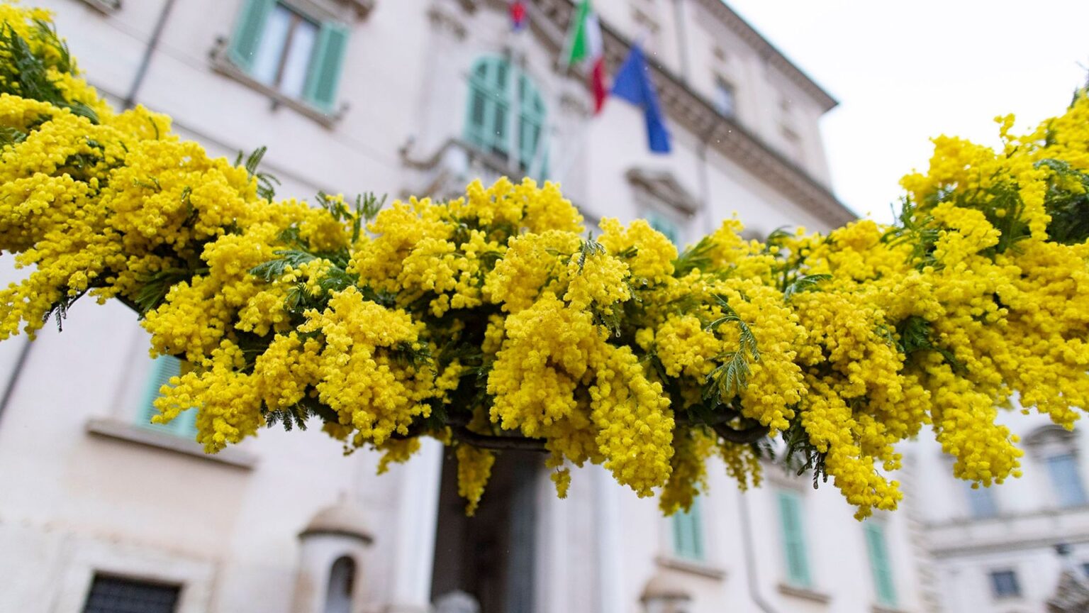 Giornata Internazionale della Donna