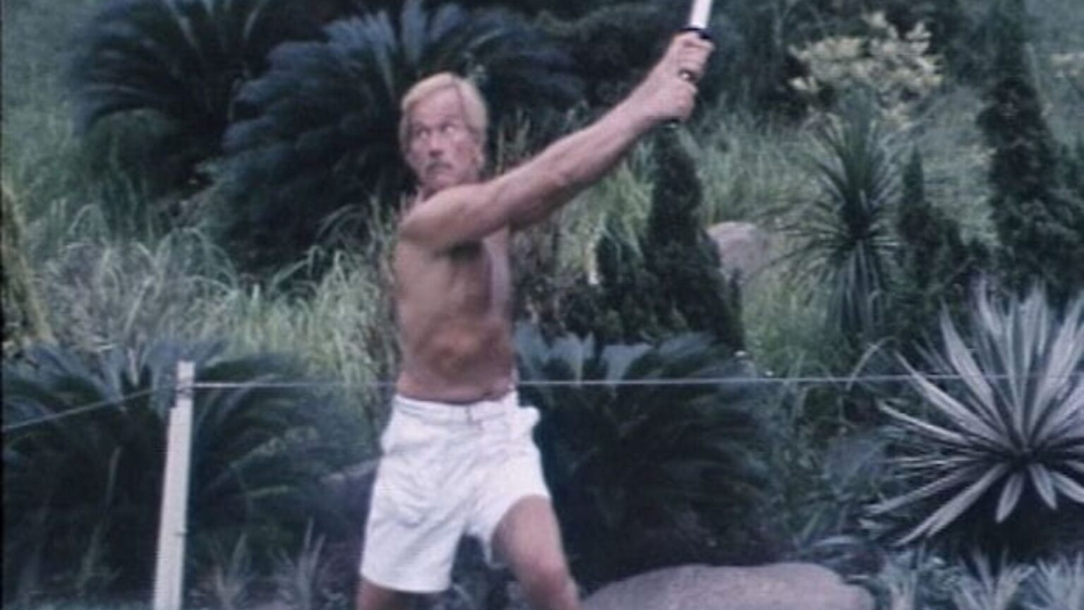 Richard Harrison