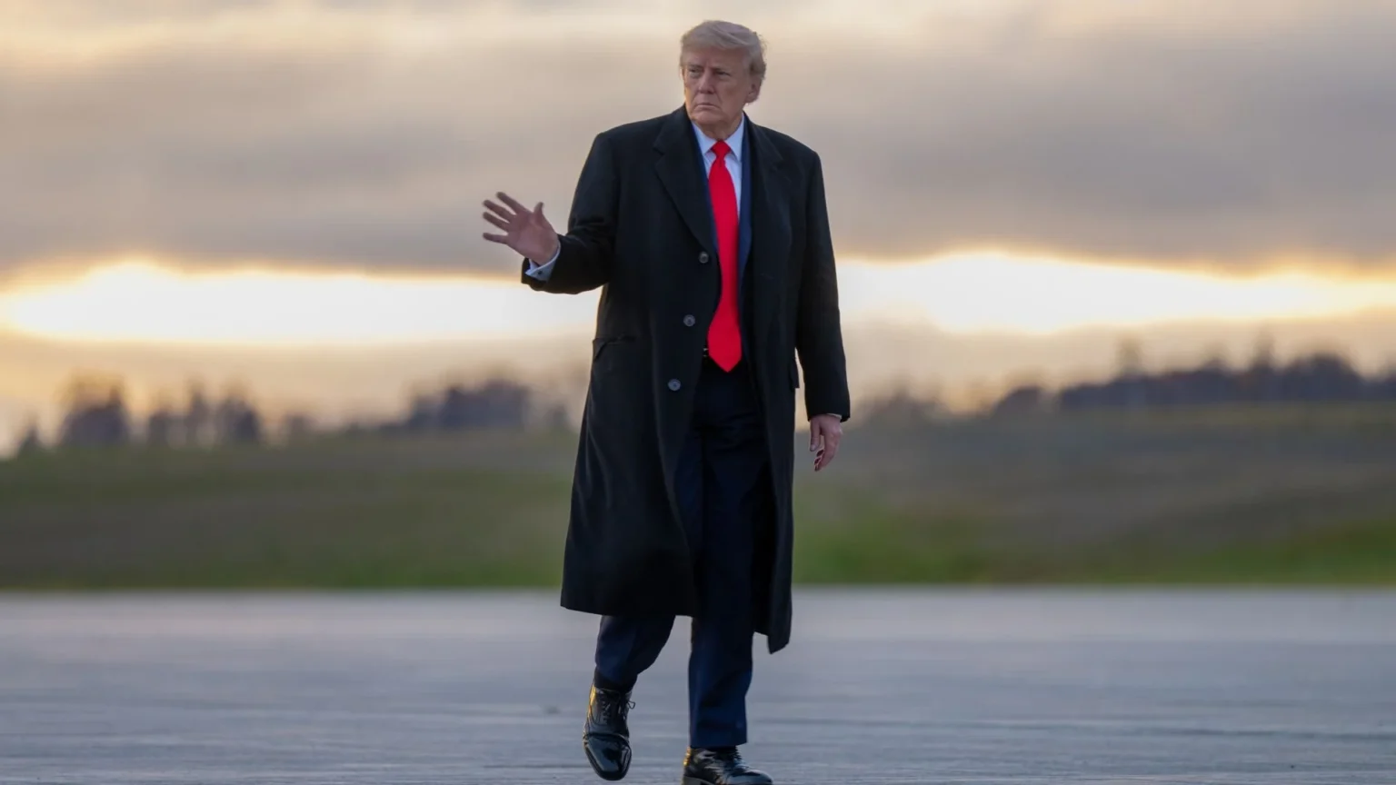 Midterm Usa, Donald Trump